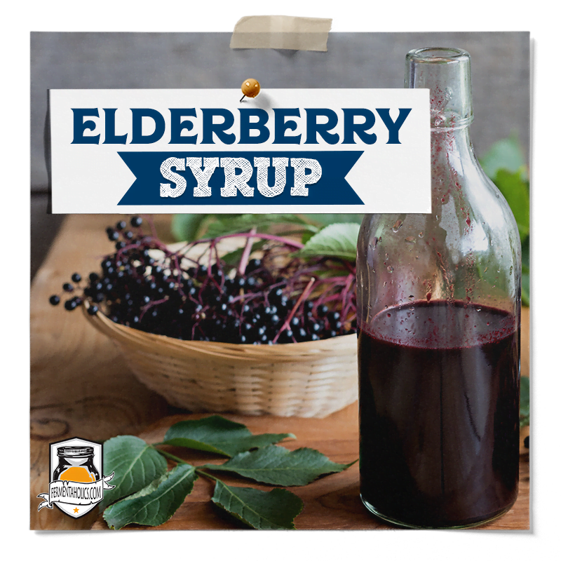 elderberry syrup recipe