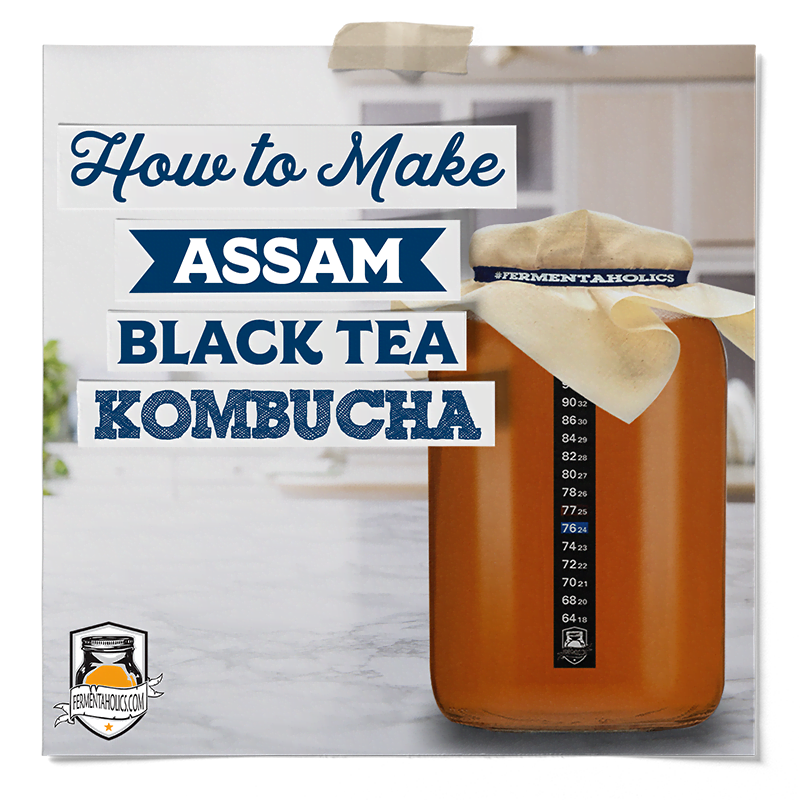 assam tea kombucha