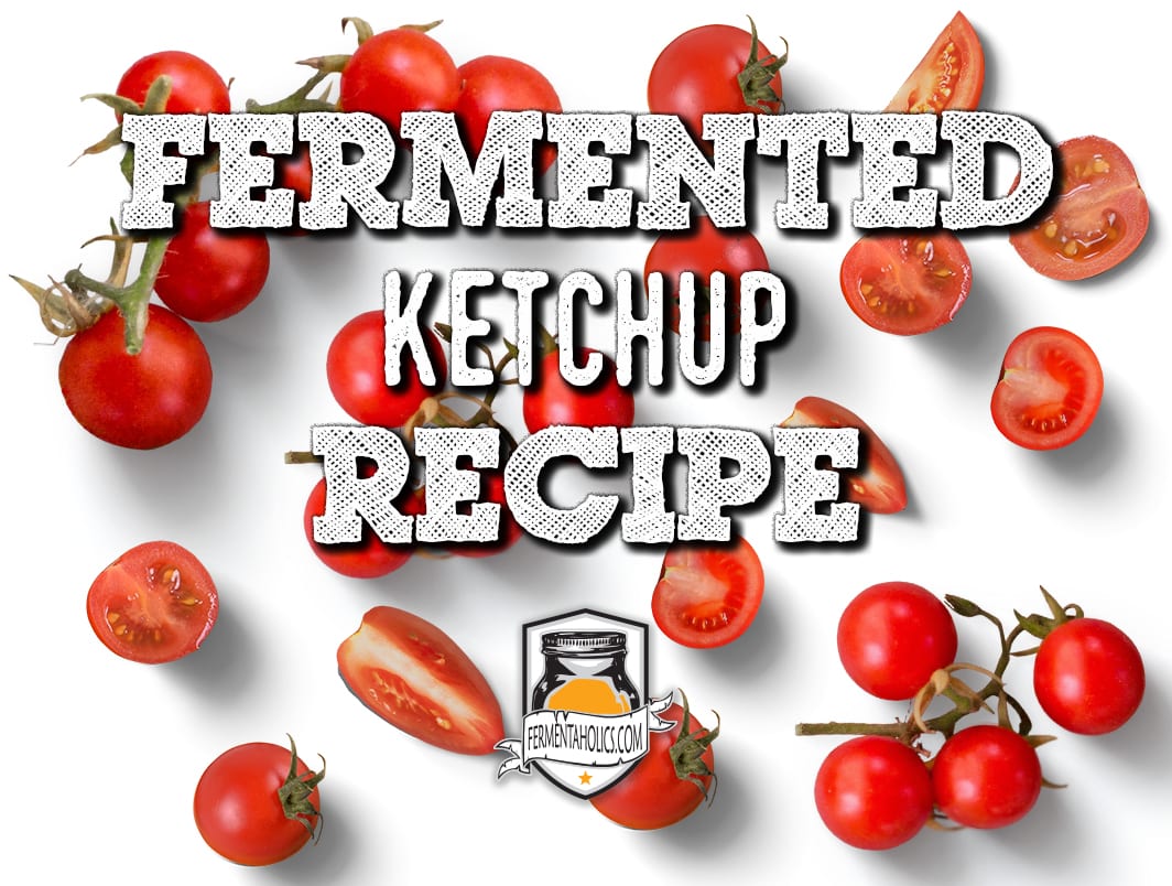 Fermented Ketchup Recipe