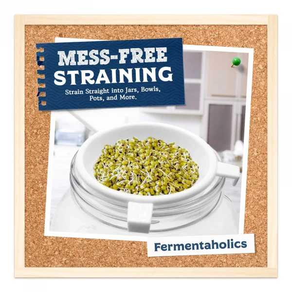 Large Mesh Strainer