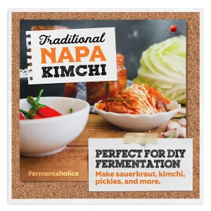 Fermenting Lids for Mason Jars