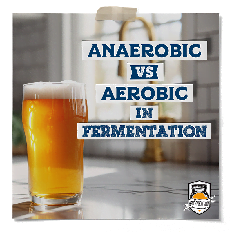 Anaerobic Vs Aerobic Fermentation Daifference