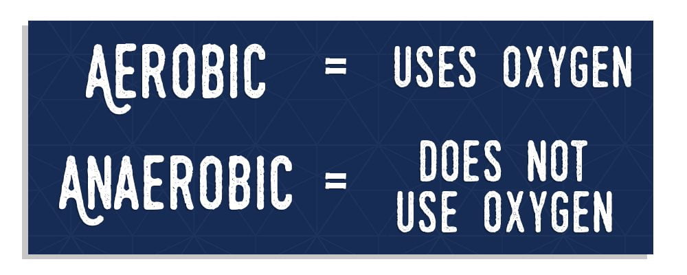 Anaerobic vs Aerobic