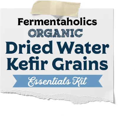 Dried Water Kefir Essentials Kit