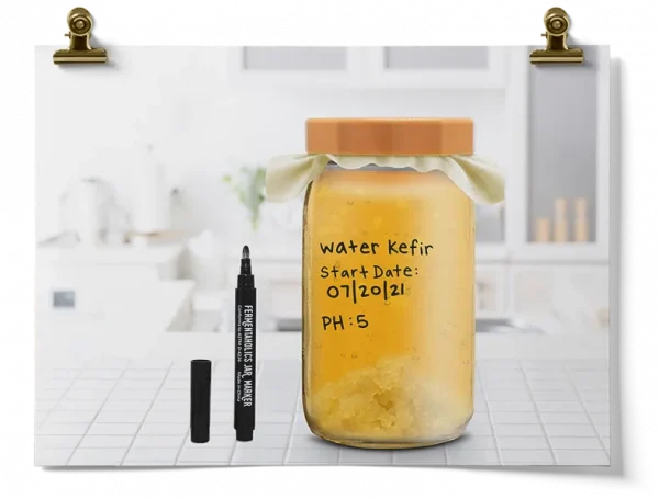 Dehydrated Water Kefir Grains Essentials Kit