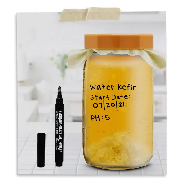 Water Kefir Kit