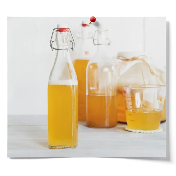 Water Kefir Brewing Kit