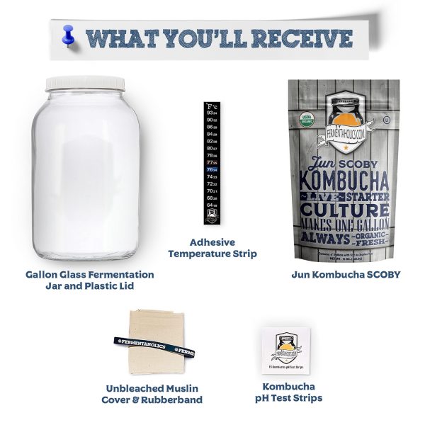Jun Kombucha Brewing Kit