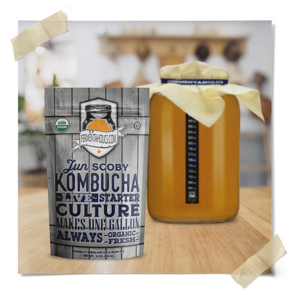 Jun Kombucha Kit