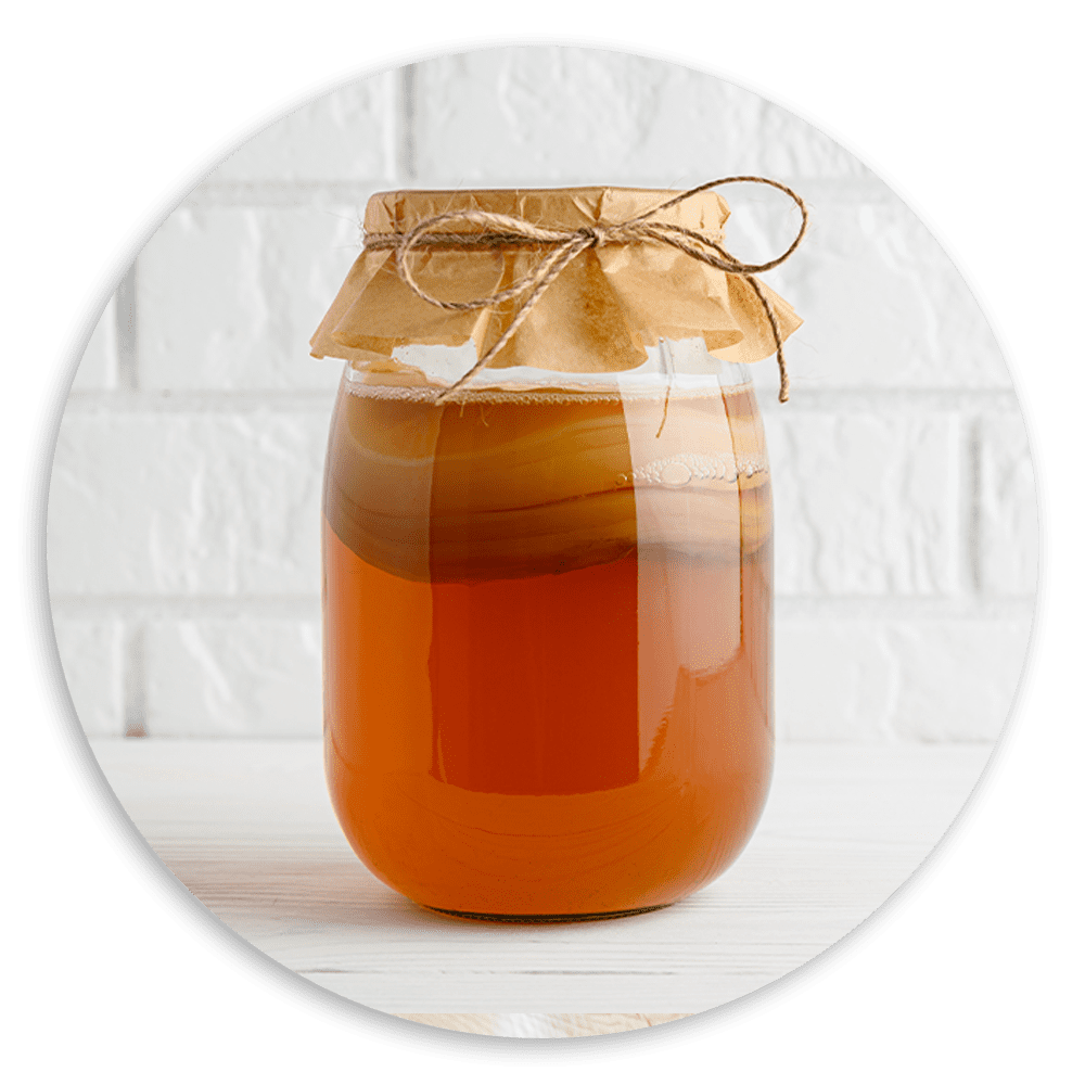 Kombucha scoby