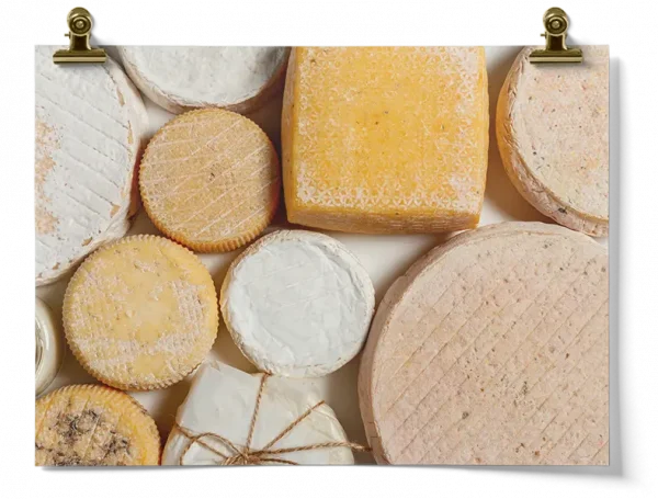 Cheese With Red Wax