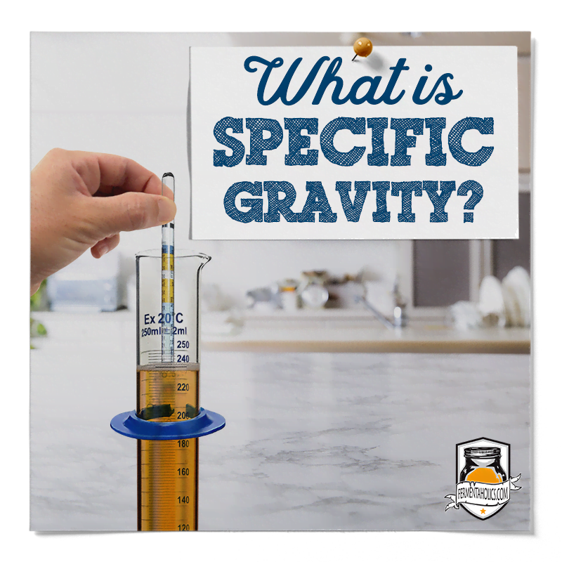 What is Specific Gravity?