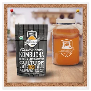 Half Gallon SCOBY for Kombucha