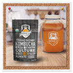 Kombucha Mother