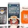 Kombucha Starter Kit