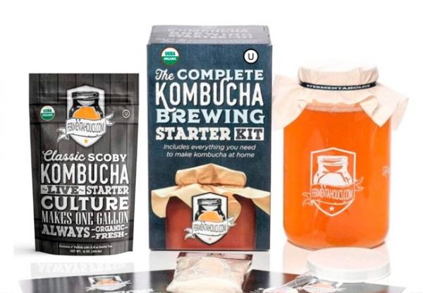 Kombucha Starter Kit