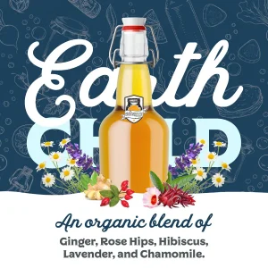Kombucha Flavor Ideas