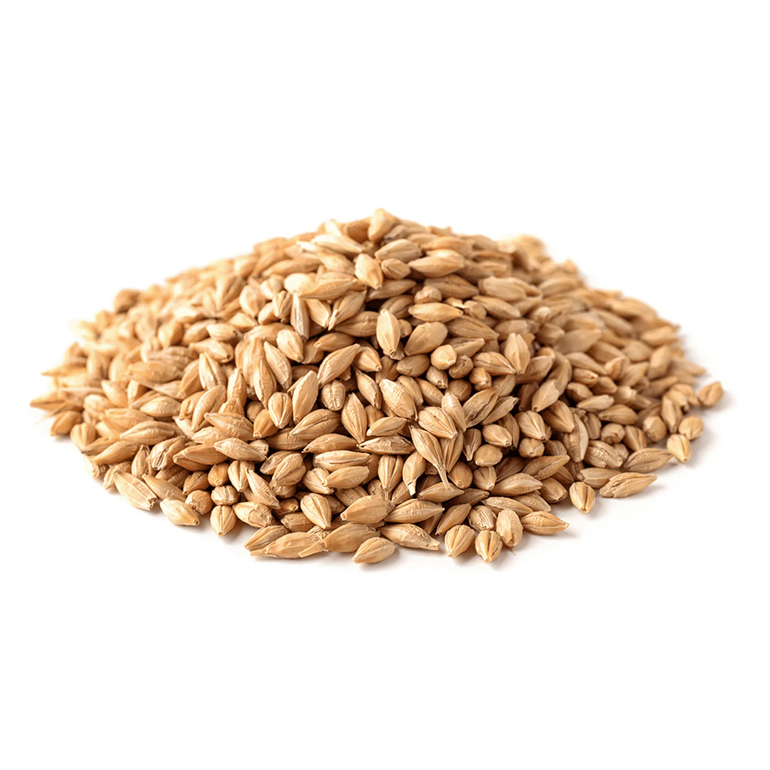 Briess 2 Row Brewers Malt