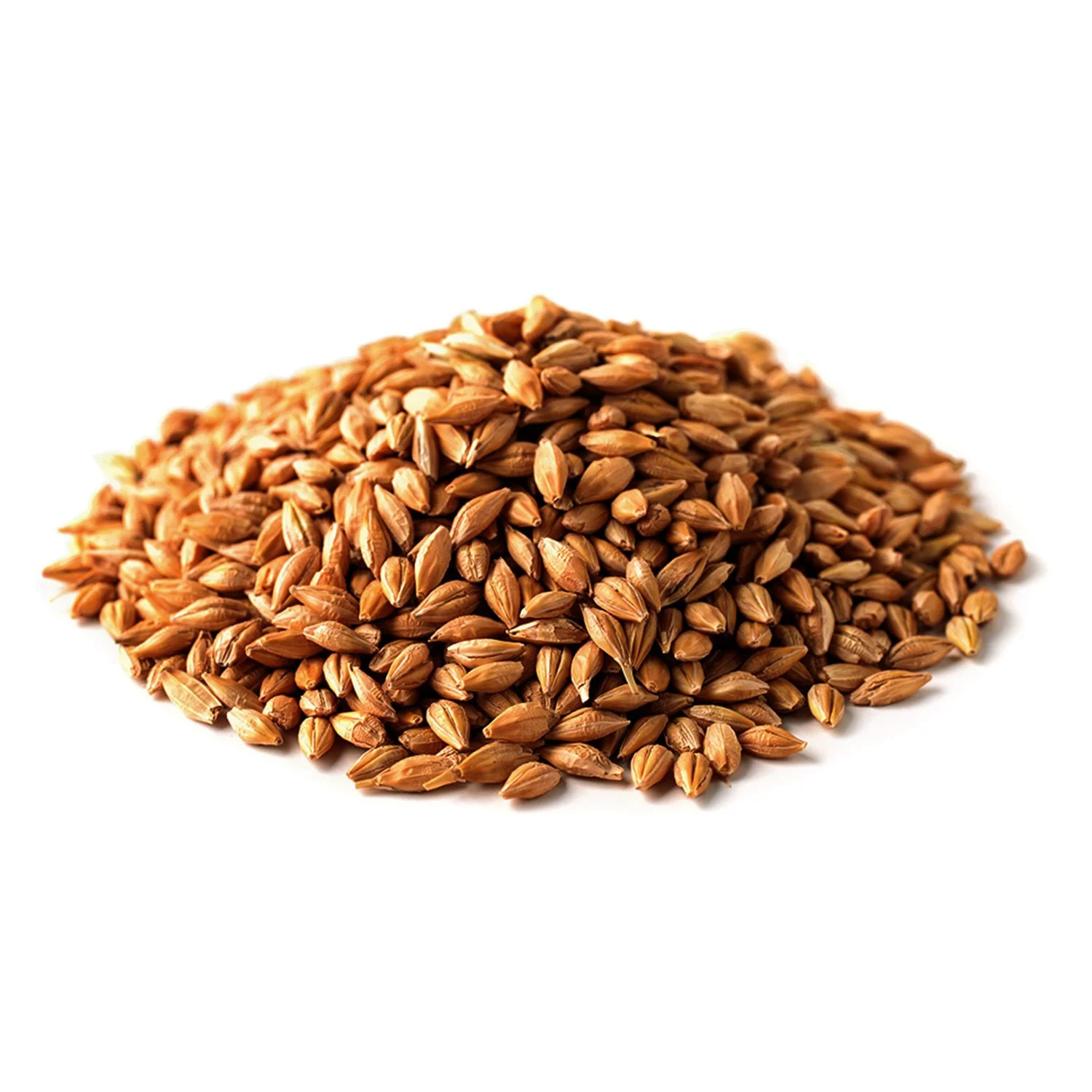 Briess 2 Row Caramel 20L Malt
