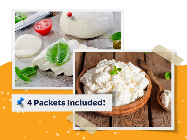 Cheese Coagulant