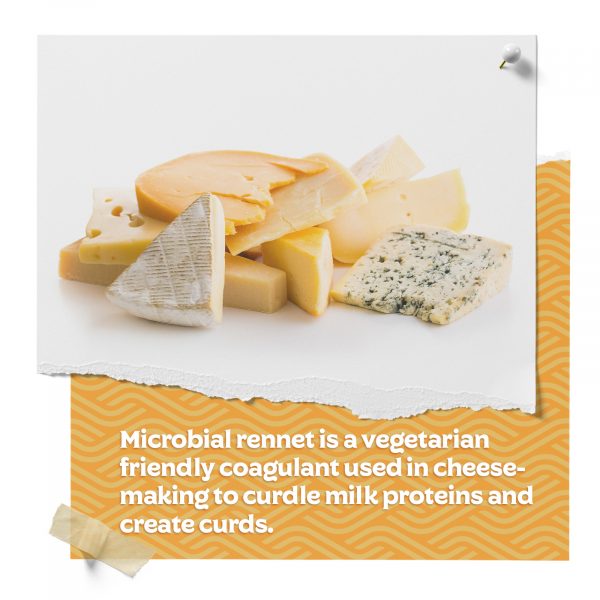 Vegetarian Rennet Cheese