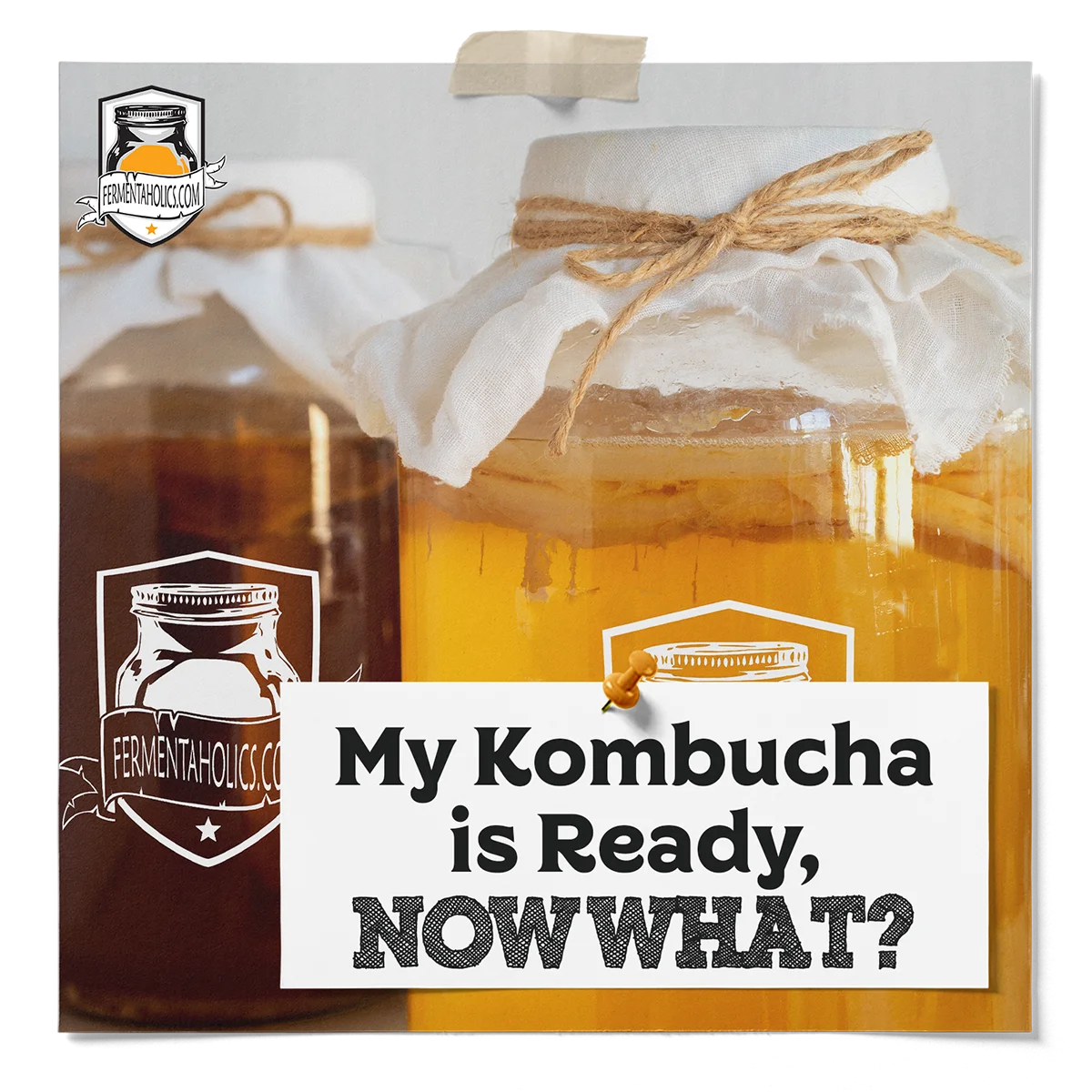My Kombucha is Ready Now What