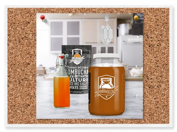 Gallon Lid With S Shaped Airlock