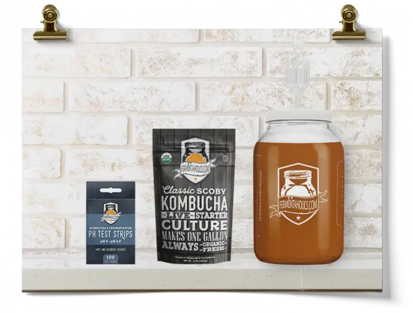 Kombucha Gallon Lid With S-Airlock