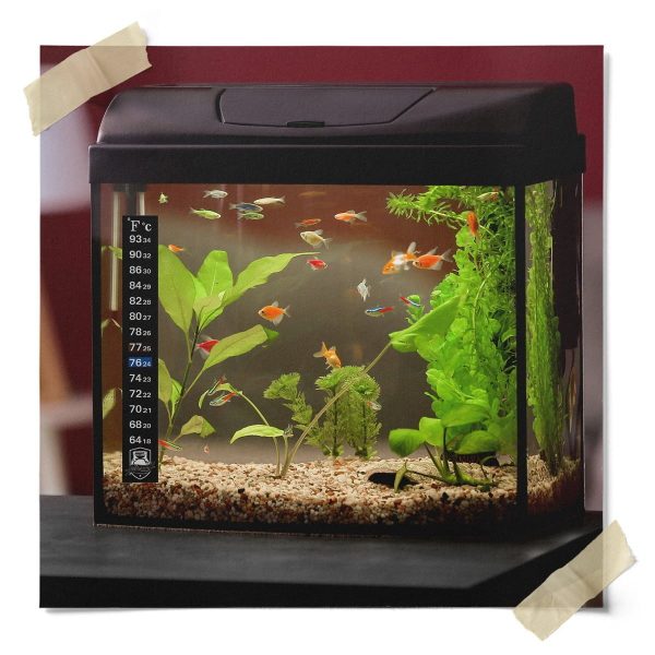 Adhesive Strip Thermometer