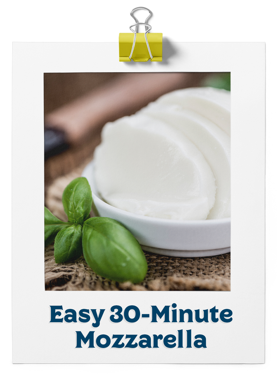 Easy 30 Minute Mozzarella