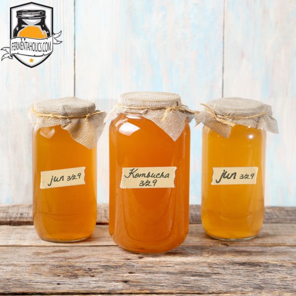 Jun Kombucha Brewing Jars 600x600 1