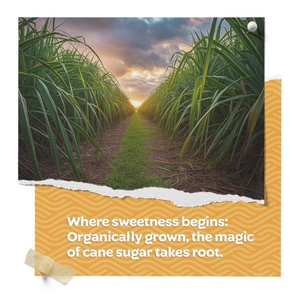 Cane Sugar