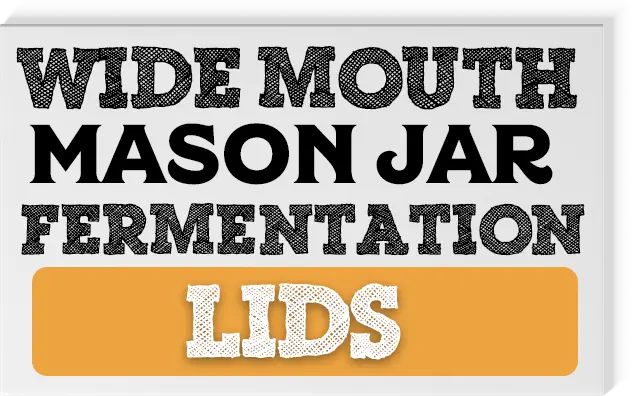 Plastic Wide Mouth Mason Jar Fermentation Lids