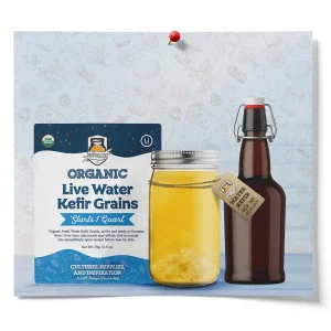 Brown Fliptop Glass Bottles 6 Pack