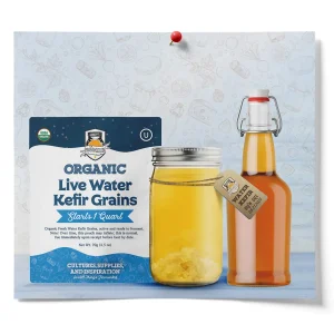 6 Pack Clear Water Kefir Bottles