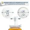 Gallon Jar Fermenting Lid
