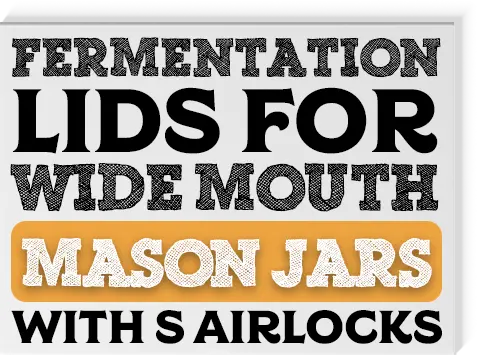 Fermentation Lids With S Airlocks For Wide Mouth Mason Jars - 4 Pack