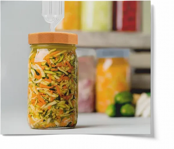 Colored Pattern Lids With S Airlocks For Wide Mouth Mason Jars - 4 Pack