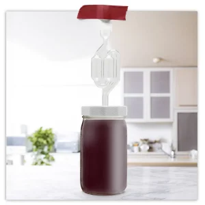 Mason Jar Pattern Lids with S-Airlock