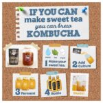 SCOBY for Kombucha