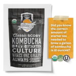 Kombucha Mother