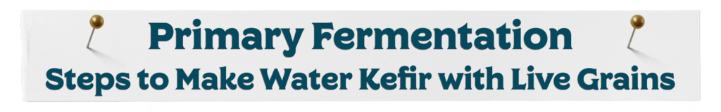 Live Grain Primary Fermentation