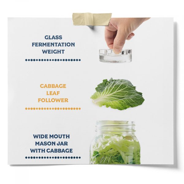 Glass Weight And Cabbage Leaf Followers