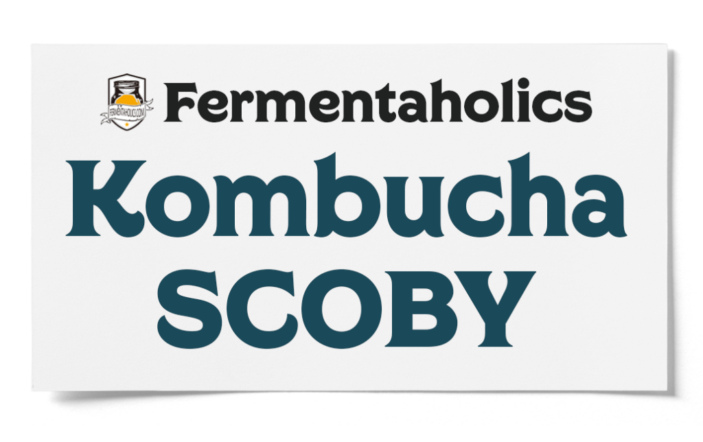 Fermentaholics Kombucha Scoby