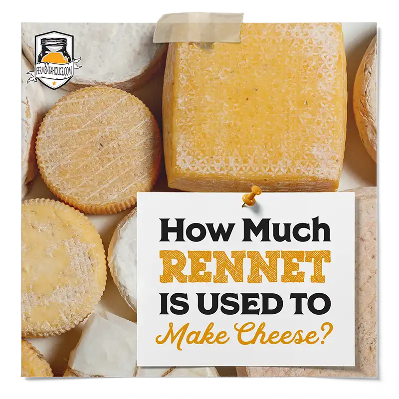 How Much Rennet Is Used to Make Cheese?