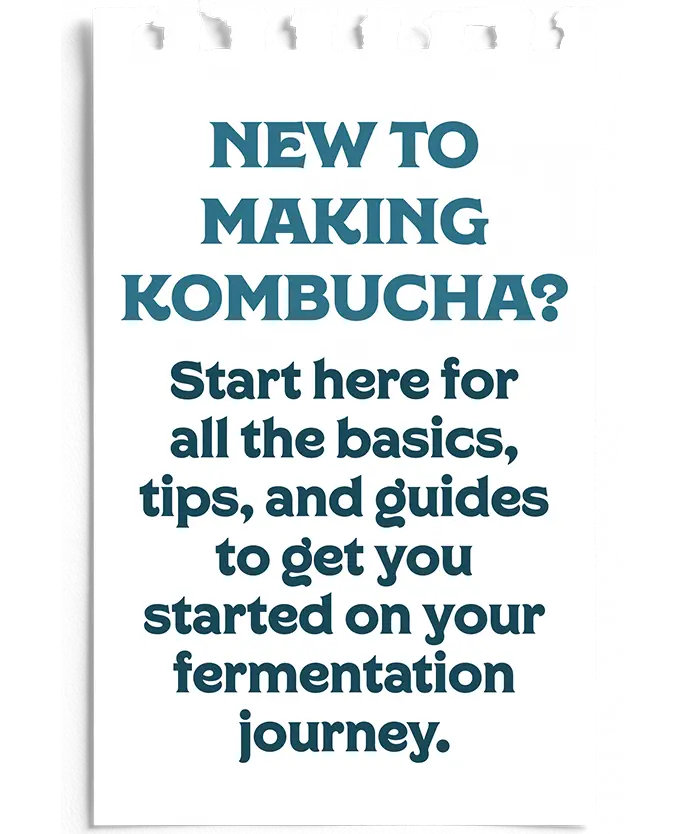 New To Making Kombucha