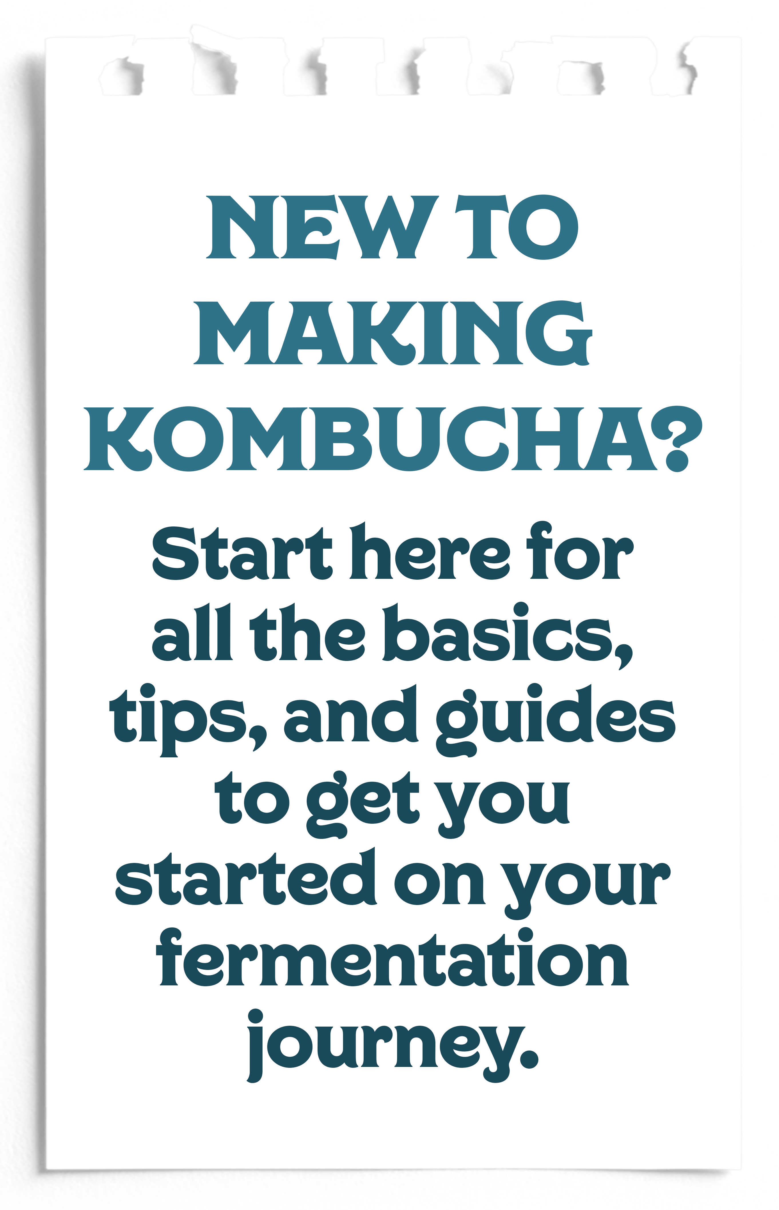 Note Kombucha copy