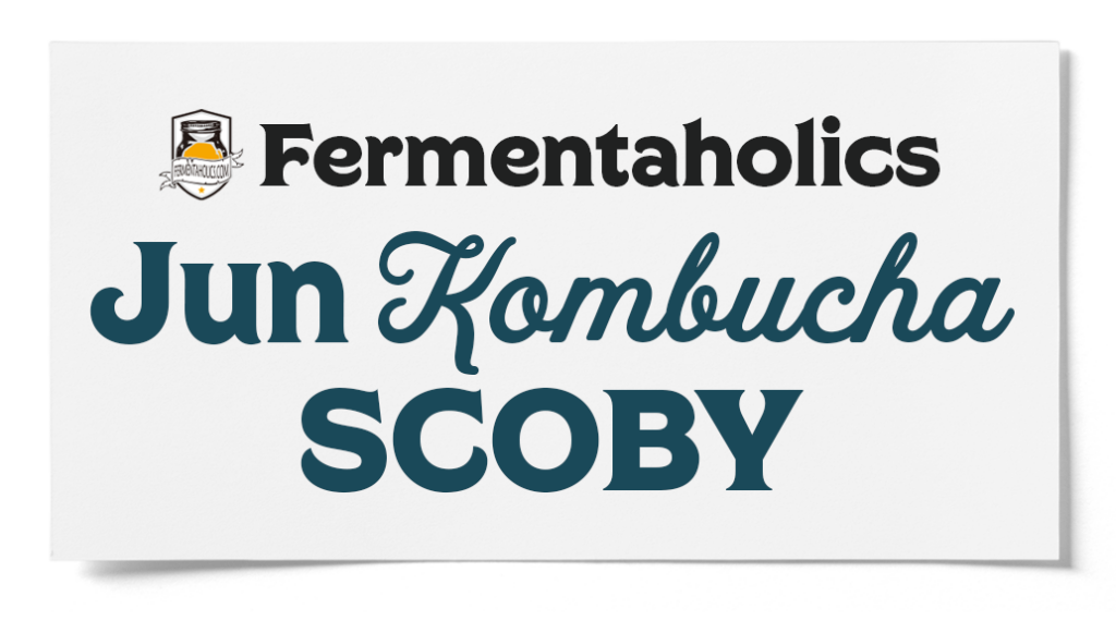 TitleTag JunKombucha copy