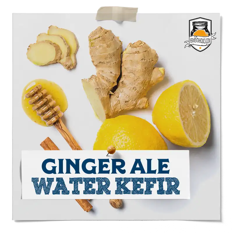 ginger ale water kefir