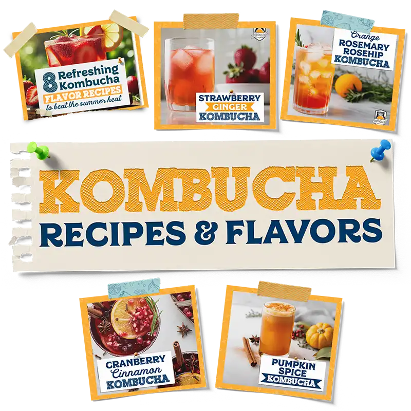 kombucha flavors and recipes